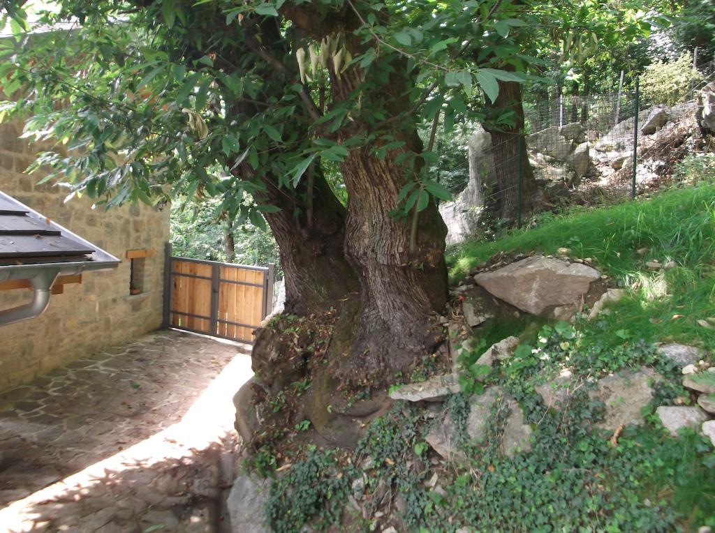 Agriturismo Ai Ronchi Сорико Екстер'єр фото