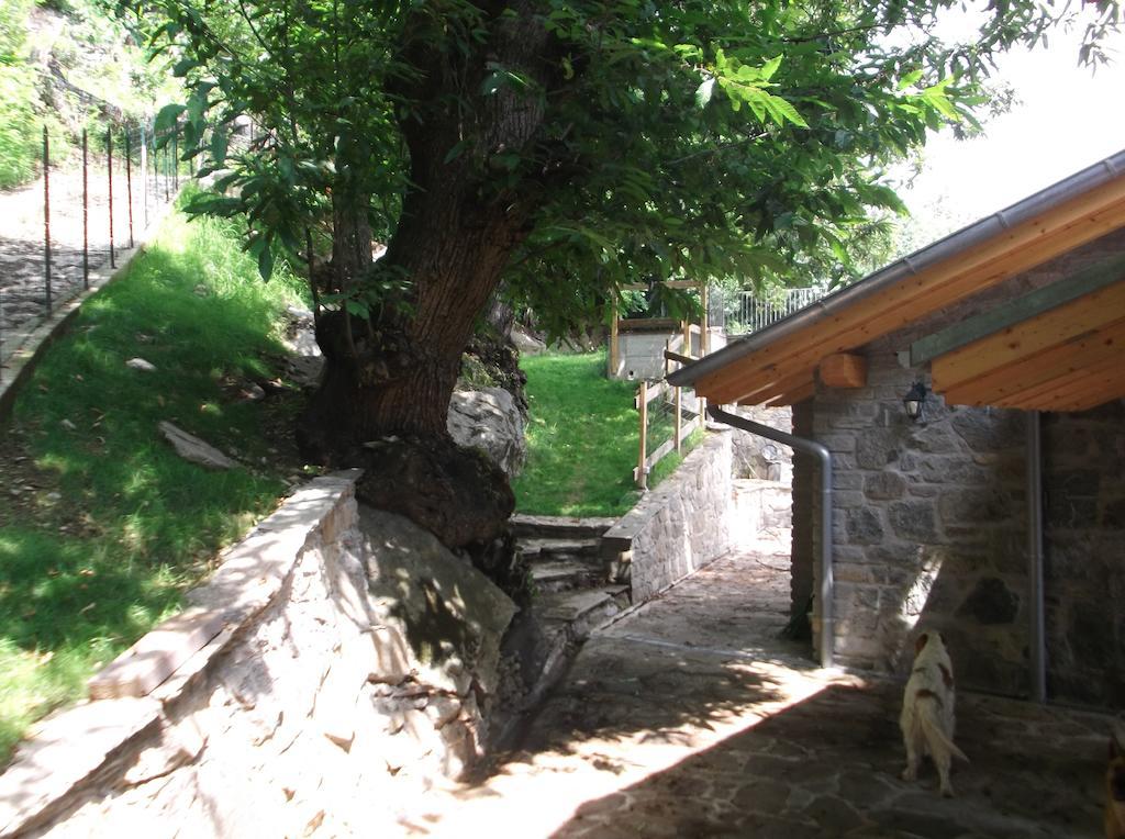 Agriturismo Ai Ronchi Сорико Екстер'єр фото